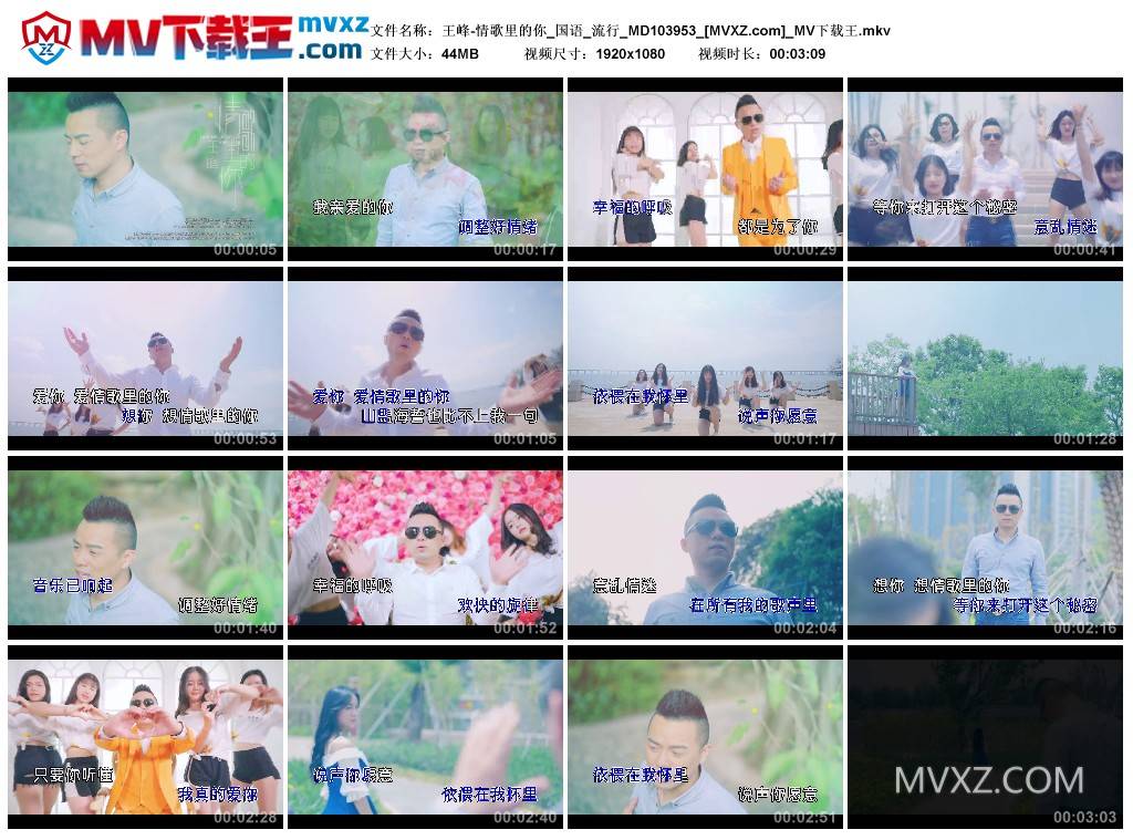 王峰-情歌里的你_国语_流行_MD103953